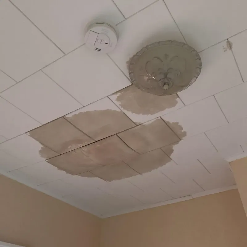 Ceiling Water Damage Repair in Story County, IA