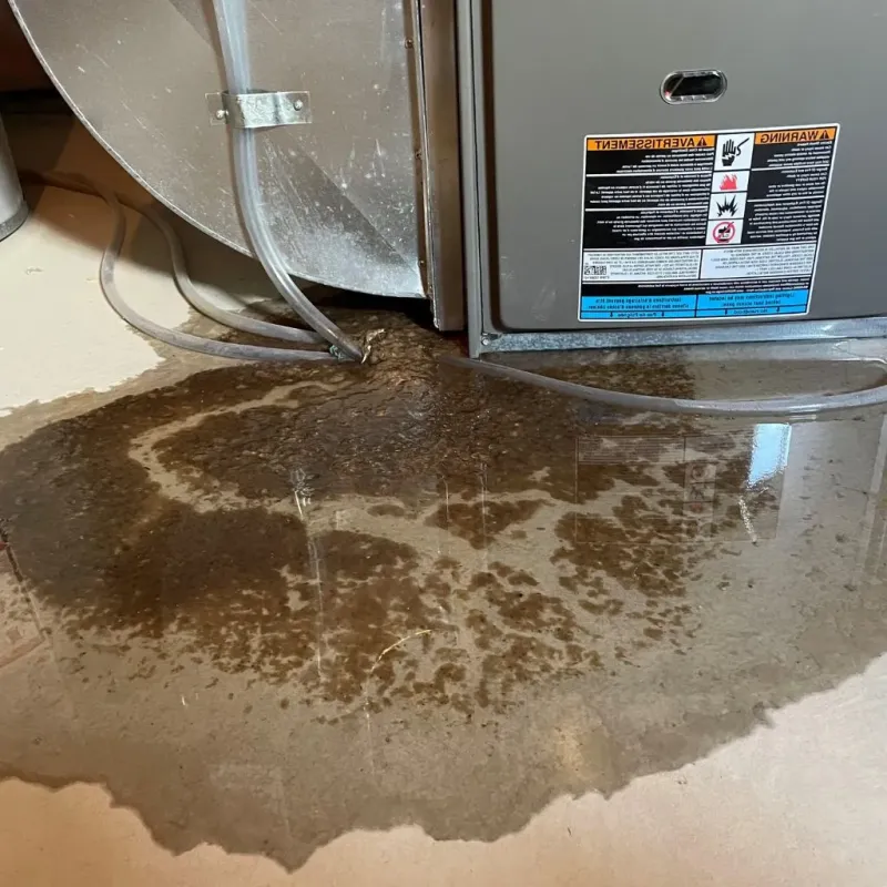Pipe Burst and Leak Restoration in Story County, IA