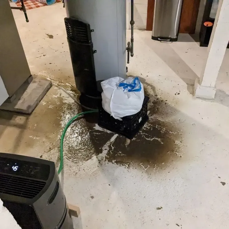 Sewage Backup Cleanup Service in Story County, IA